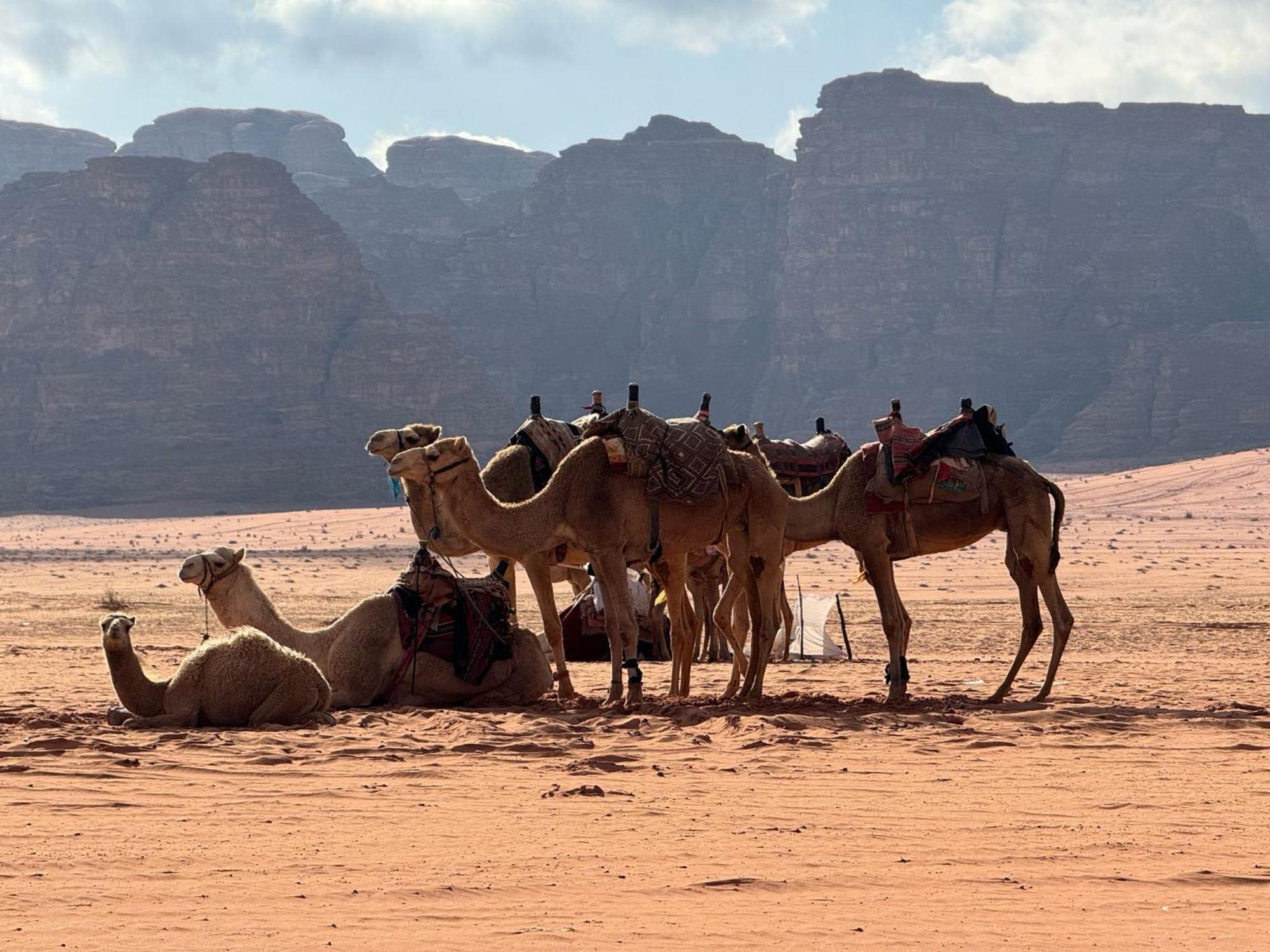 Sunrise Luxury Camp Hotel Wadi Rum Buitenkant foto